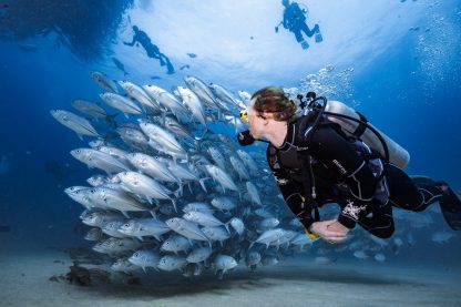 Person scuba diving amidst a school of fish in the ocean in Mexico.